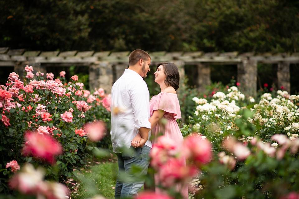 Raleigh Rose Garden Engagement