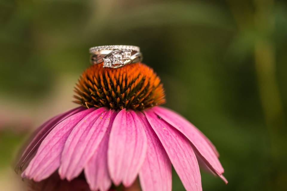 Rings and Flowers