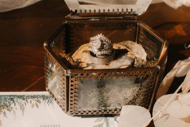 Divine Moments Photography