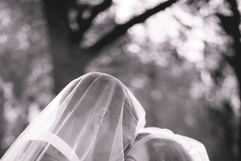 Under the veil (A Wave of the Wand Photography)