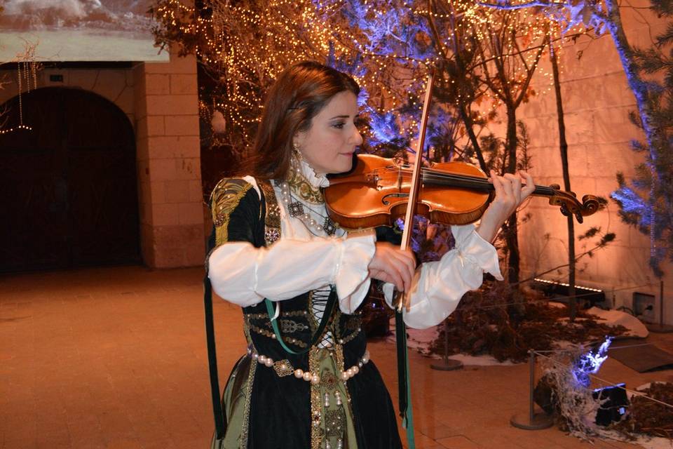 Violinist  Chateau Chambord