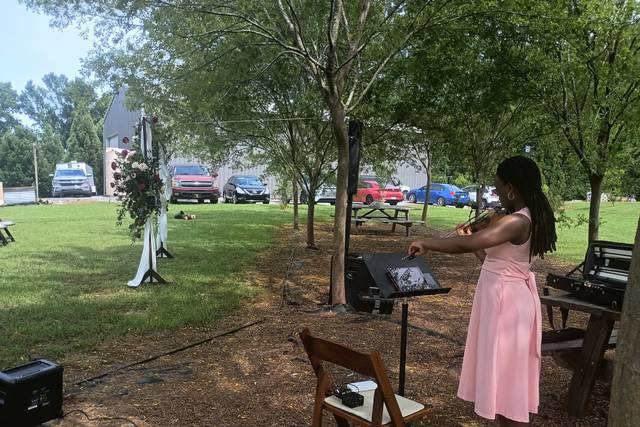 Violin Outdoor Wedding