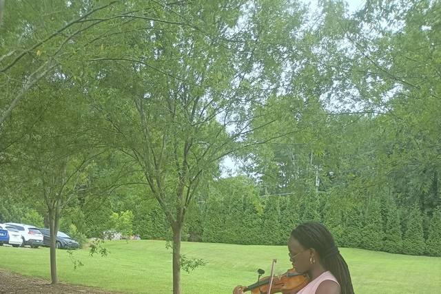 Violin Outdoor Wedding