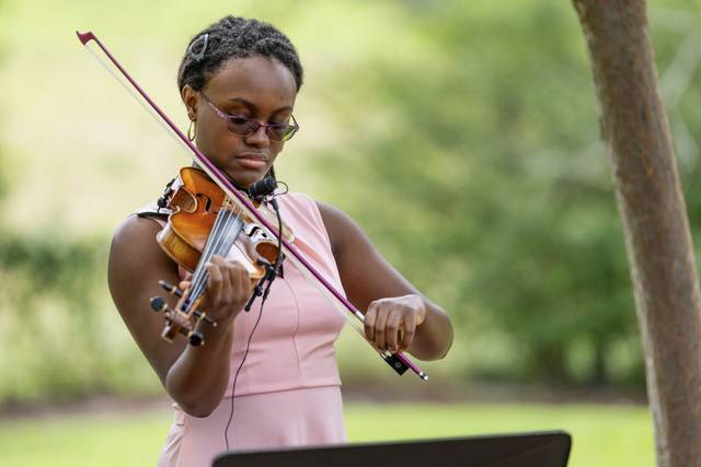 Violin at Outdoor Wedding