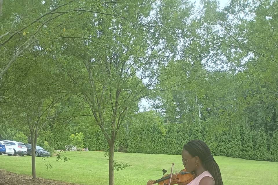 Violin Outdoor Wedding