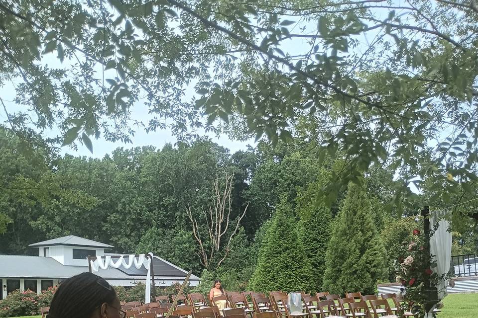 Violin Outdoor Wedding