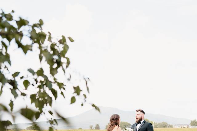 First Look