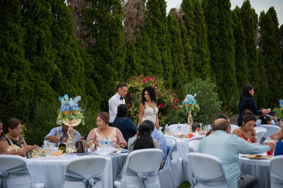 Wedding