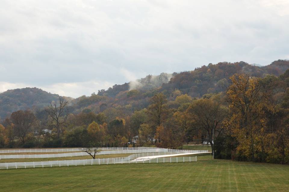 IMG_4185.JPG