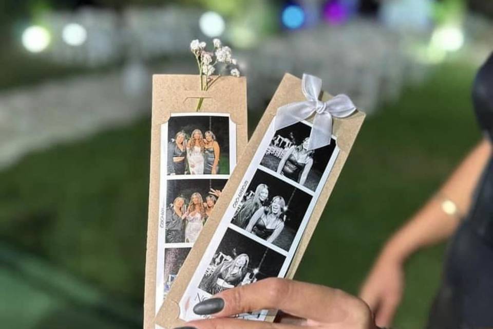 2 x 6 strips with picture hold