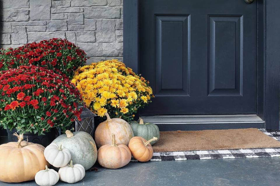 Pumpkin and Mum Delivery and Design