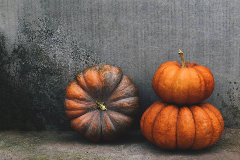 Pumpkin and Mum Delivery and Design