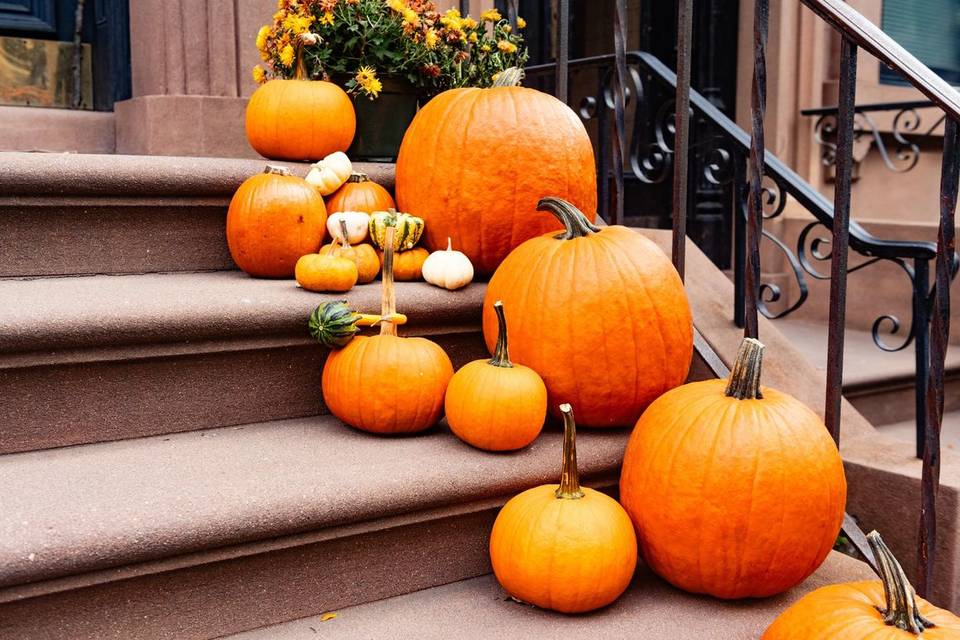 Pumpkin and Mum Delivery and Design