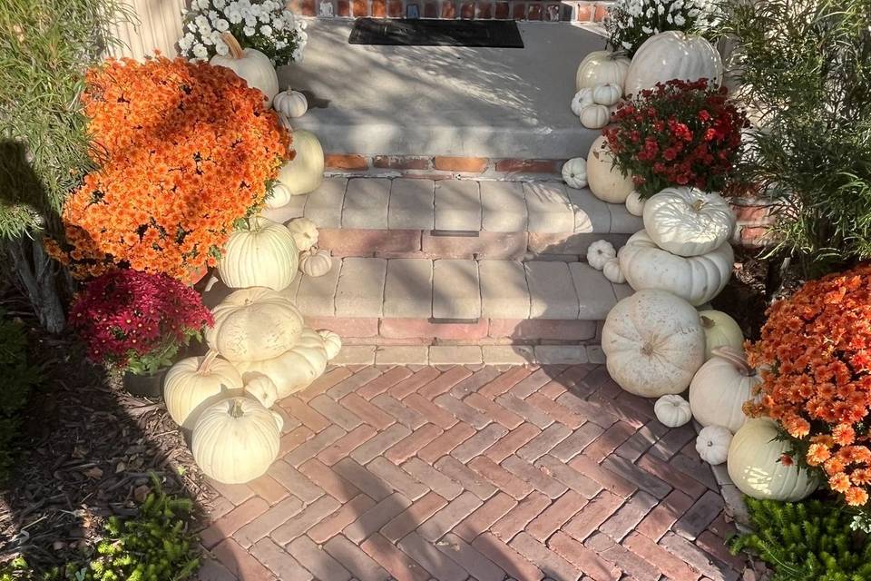 Pumpkin and Mum Delivery and Design