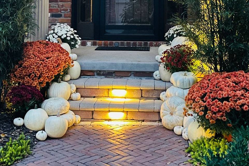 Pumpkin and Mum Delivery and Design