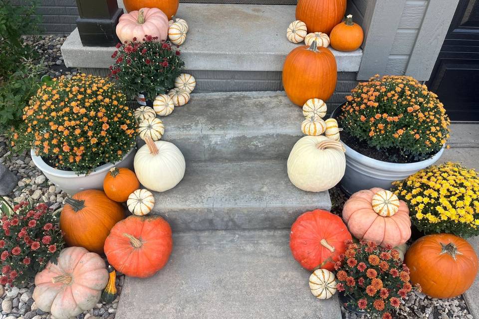 Pumpkin and Mum Delivery and Design