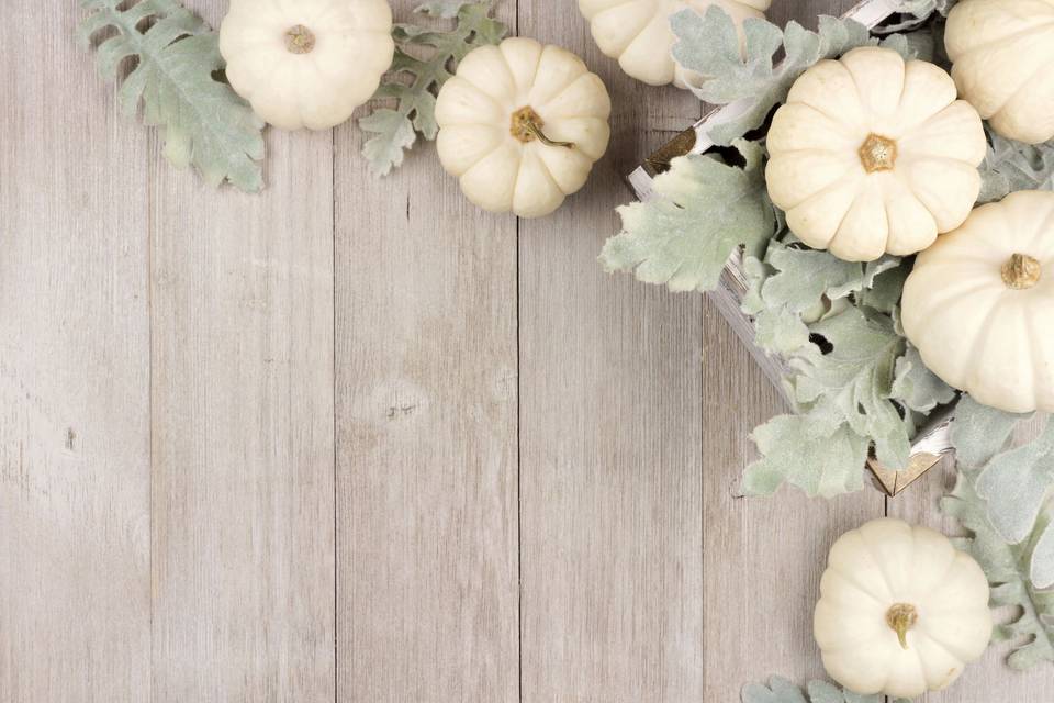 Pumpkin and Mum Delivery and Design
