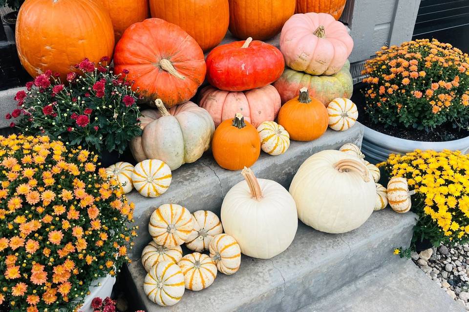 Pumpkin and Mum Delivery and Design