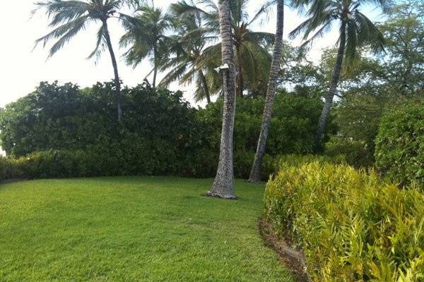 King's Knoll @ The Marriot-Waikoloa