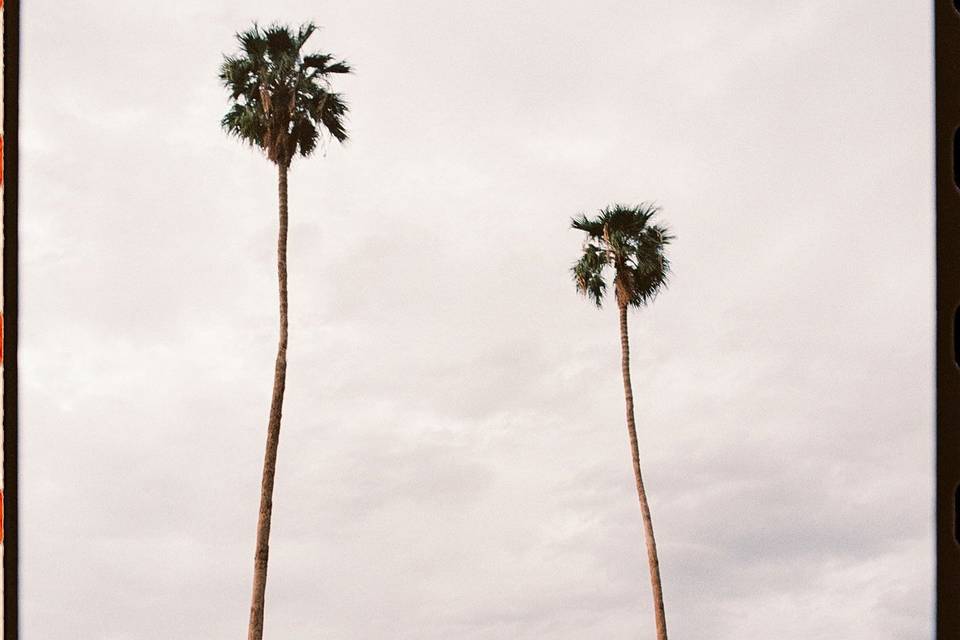 Couple on Course