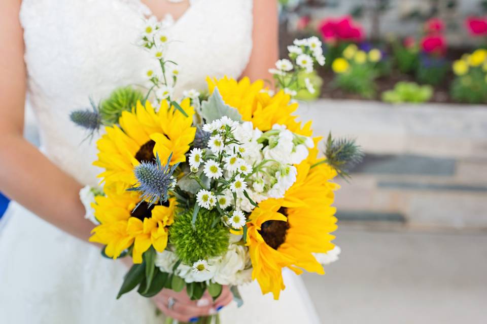 Sunflowers 📷Gosia Photography