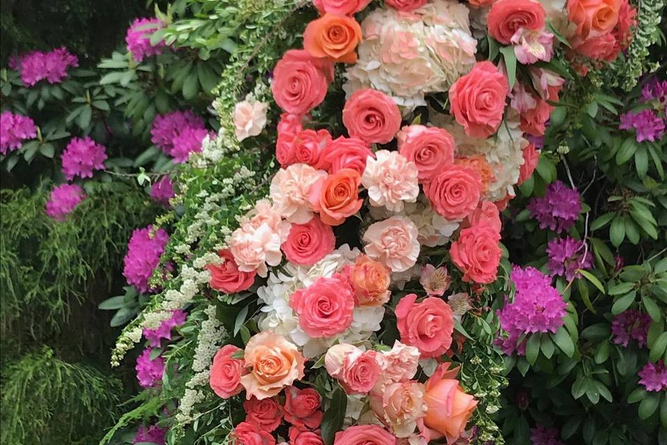 Pink, peach, coral flowers.