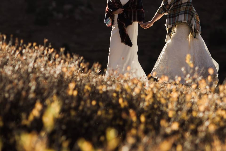 Loveland Pass Elopement