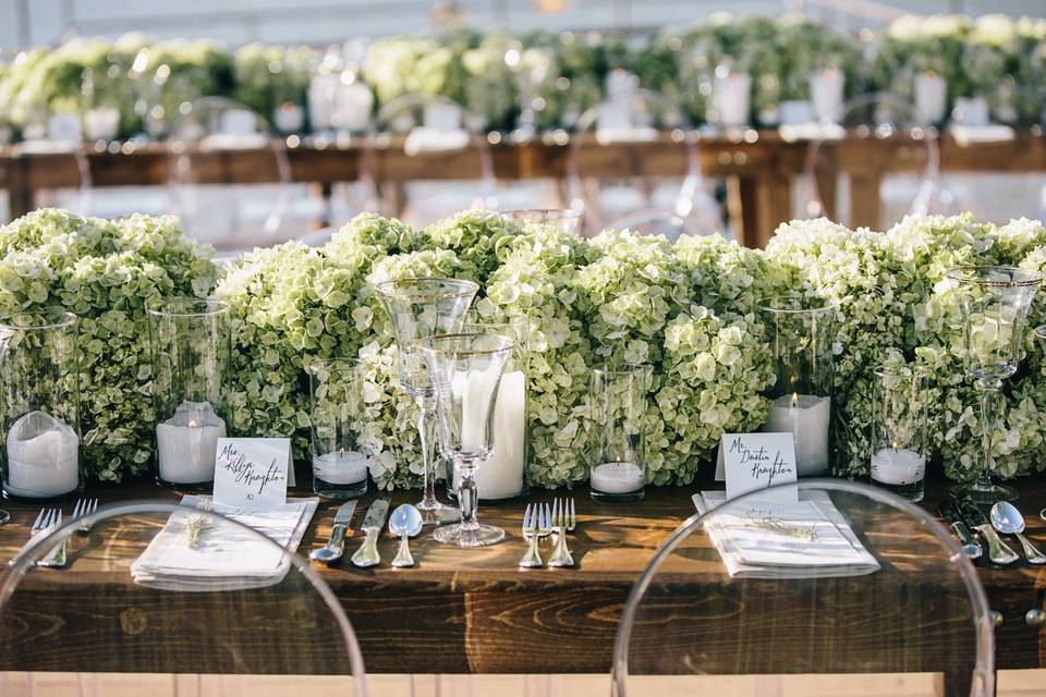 Hydrangeas Galore!