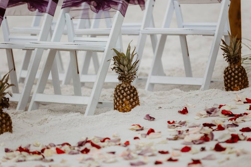 Pineapple Florida wedding