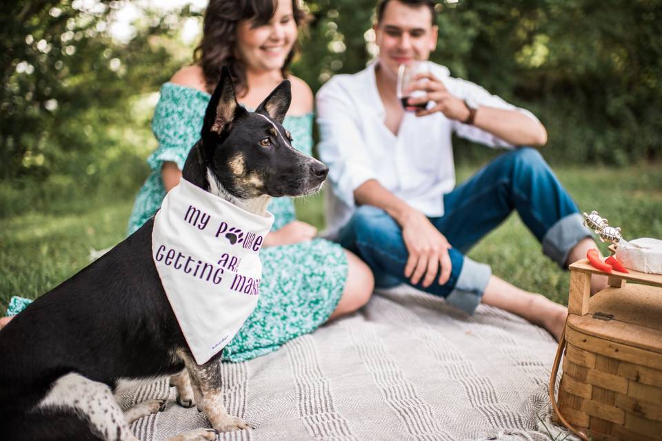 Engagement Session