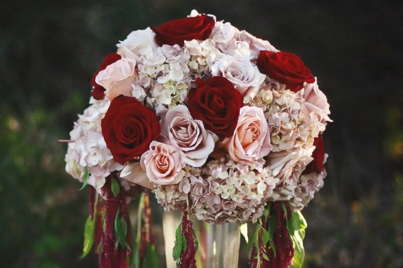 Pink and red roses