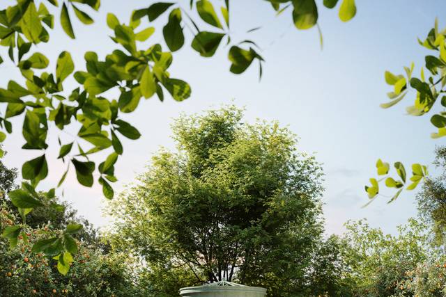 Edwards Mansion by Wedgewood Weddings