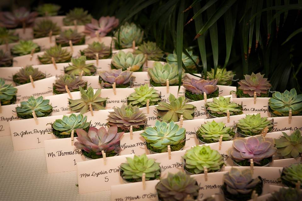 Wedding favors