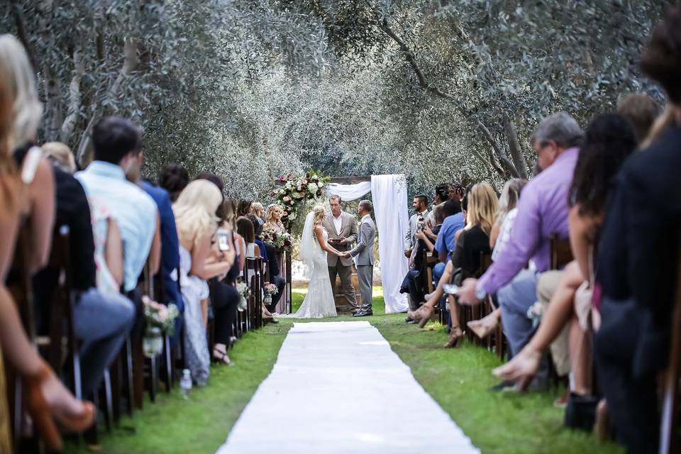 Ceremony in the Olive Grove