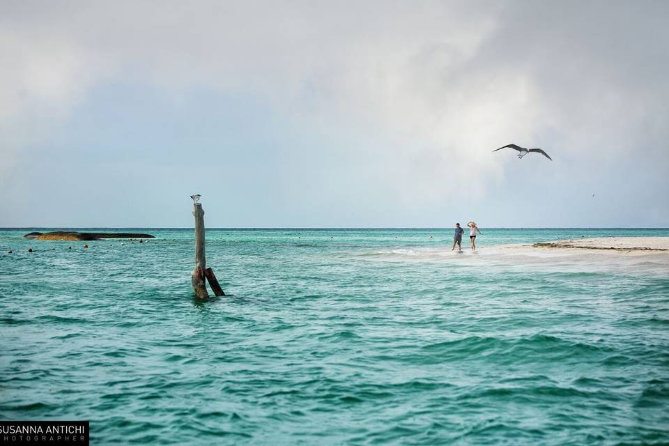Susanna Antichi Photography