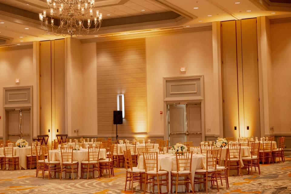 Coquina Reception