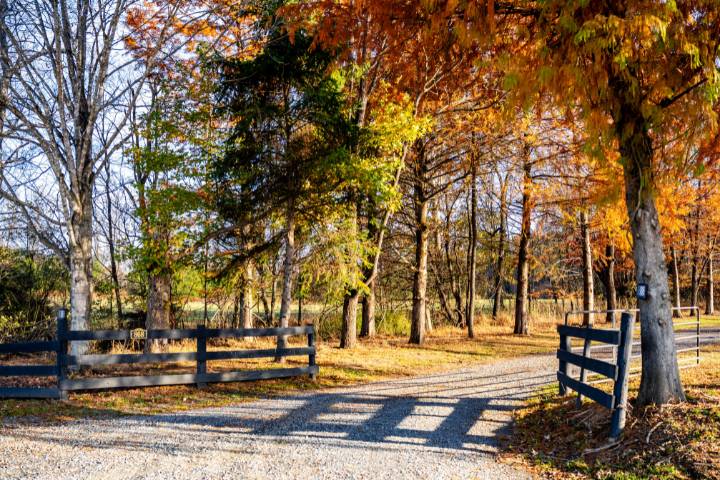 Eden Ridge