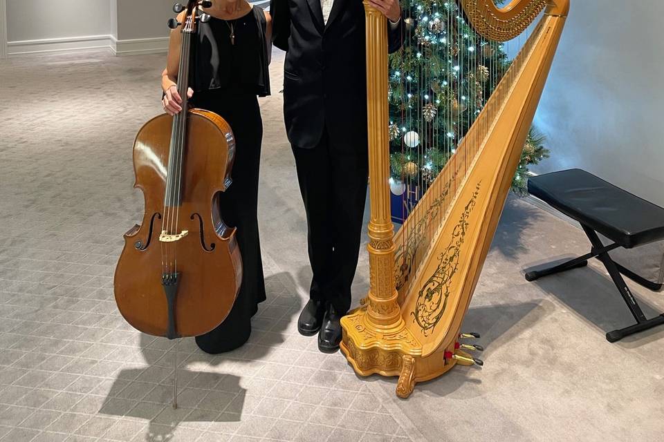 Cello and harp