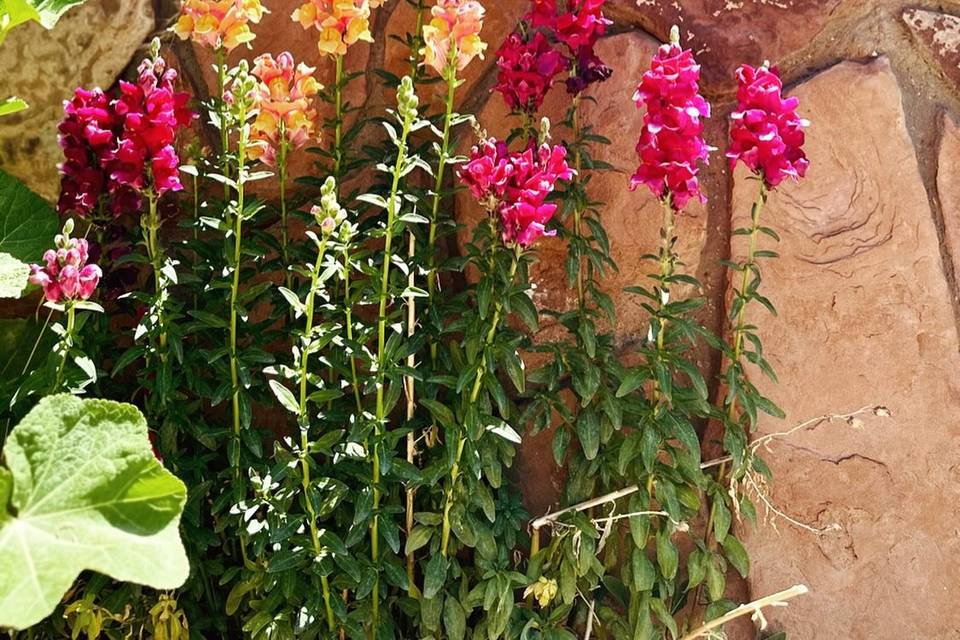 Cedar Canyon Retreat