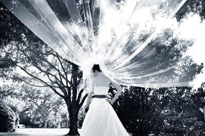 Morris Malakoff Photography