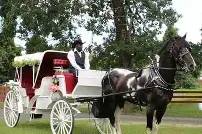 Horse and Carriage