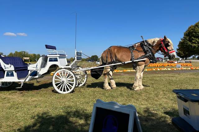 Horse and Carriage