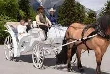Carriage Ride