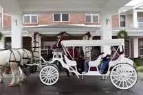 Limo Carriage