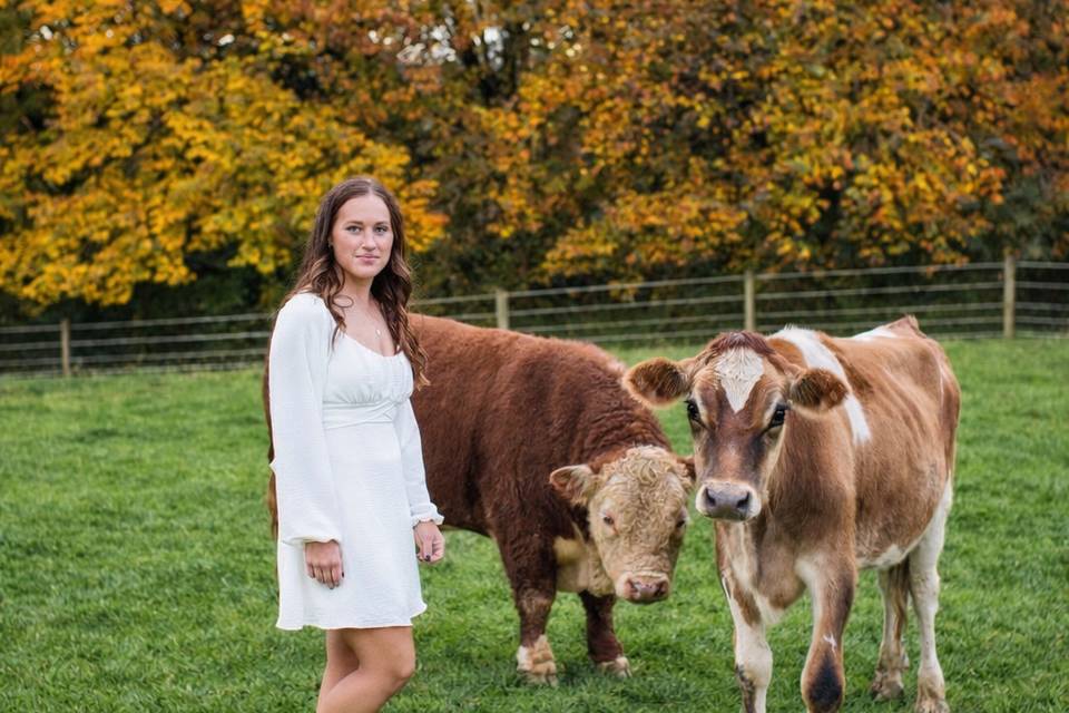 Liv with her cows