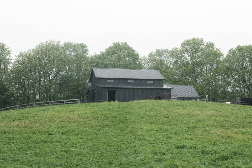 Pasture view