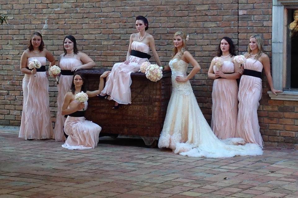 Bride and bridesmaids