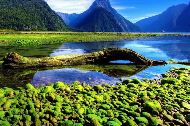 Kiefner Travel