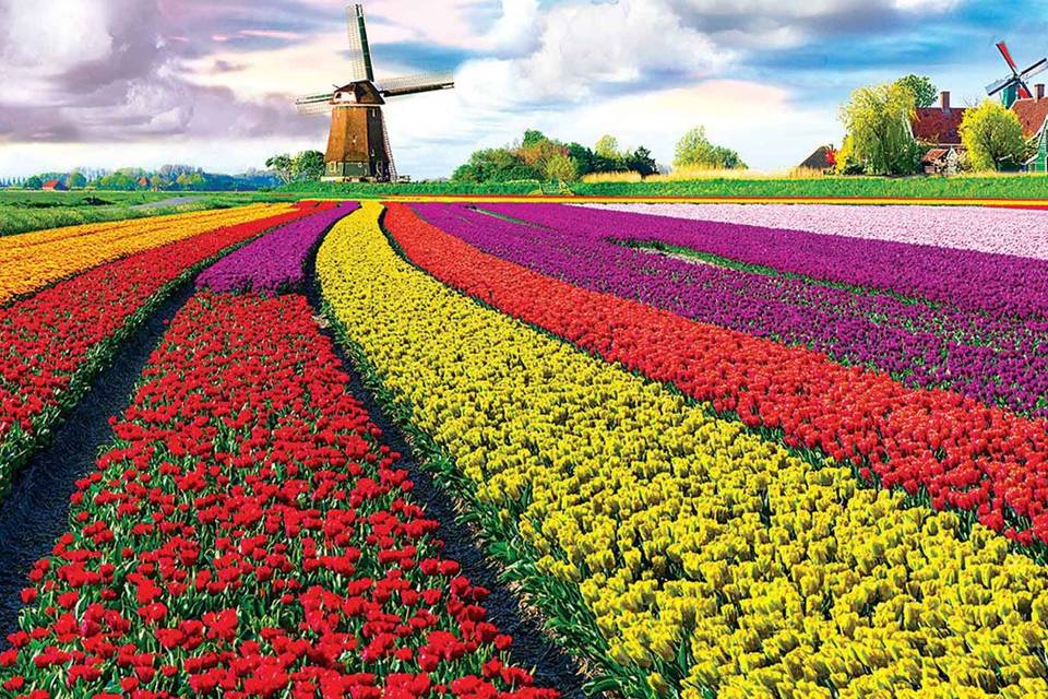 Amsterdam