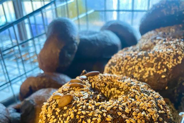The Bagel Hound Cafe